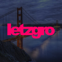 Letzgro logo - Similar company to Mempool Reload Society - Where Visionaries Shape Future Together