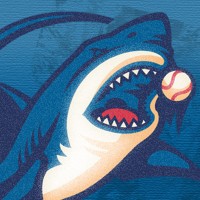 Clearwater Threshers logo - Similar company to Illumisolutions