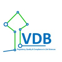 VDB-Consulting logo - Similar company to Vanderbilt Consulting Llc