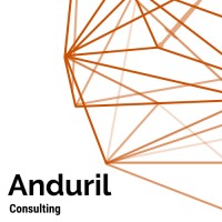 Anduril Consulting logo - Similar company to Anduril Engineering Llc