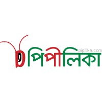Pipilika logo - Similar company to Pipilika Soft