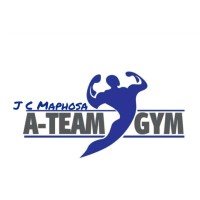 A TEAM FITNESS LIFESTYLE logo - Similar company to Stellotech Pty Ltd