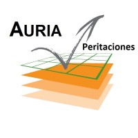 AURIA PERITACIONES SL logo - Similar company to Fundación Matrix