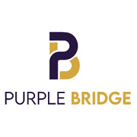 Purple Bridge logo - Similar company to Cloud Network