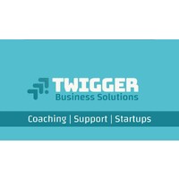 Twigger Business Solutions logo - Similar company to Accounting4Everything