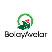 Bolay Avelar logo - Similar company to Biopdi - Ensaio De Materiais