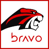 Bravo Instruments logo - Similar company to Puffin Tech