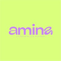 Amina logo - Similar company to Kamaytech