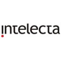 Intelecta logo - Similar company to Intelecta
