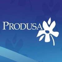 PRODUSA logo - Similar company to Dms Software