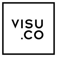 VISU ARTISTS logo - Similar company to Rsec Group