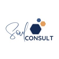 Soul Consult logo - Similar company to Soul Connections 911