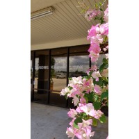 Treaschwig Vet Clinic logo - Similar company to Caudle Vet Clinic