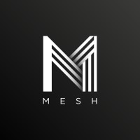 Mesh logo - Similar company to Oppo System