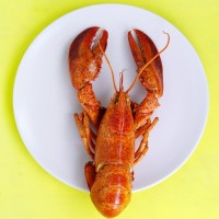 Chicago Restaurants and Culinary Events logo - Similar company to Hrp Chicago • Professional Production, Exceptional Events