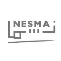 Nesma logo - Similar company to Nesma & Partners