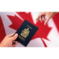 Kun Immigration Services logo - Similar company to Nexus Visa Consultancy