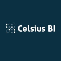 Celsius BI logo - Similar company to Quads Talent Group