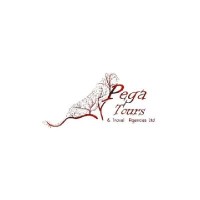 Pega Tours & Travel Agencies Ltd logo - Similar company to The Destination Lounge, Independent Travel Agencies