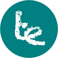 teal effect logo - Similar company to Wolkenwerft • Cloudbased Computing, Consulting & Security