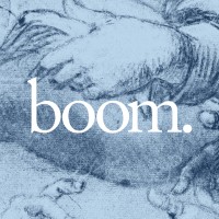 boom saloon logo - Similar company to Digital Trust Centre Of Excellence