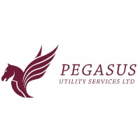 Pegasus Utility Services LTD logo - Similar company to Skyfall Construction Ltd