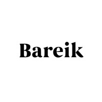 Bareik logo - Similar company to Iff Overseas