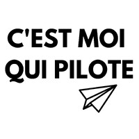 C'est moi qui pilote logo - Similar company to Mrbigbali