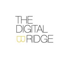 The Digital Bridge logo - Similar company to Clearvision Foundation