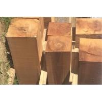 Mabaya Import logo - Similar company to Midnight Marketers