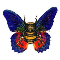 Bee and Buttafly logo - Similar company to Leaders Of Tomorrow Youth Center, Inc