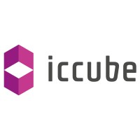 icCube logo - Similar company to Smart Modeling Solutions
