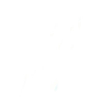 Hudson Yards logo - Similar company to Triple Canopy