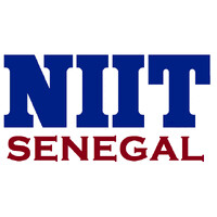 NIIT SENEGAL (National Institute of Information Technology) logo - Similar company to Teranga Code