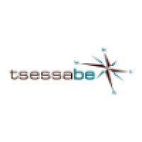 TSESSABE logo - Similar company to Tsessebe Technologies, L.L.C.