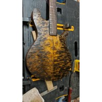 Robert Svilpa Custom Guitars logo - Similar company to Pagedna