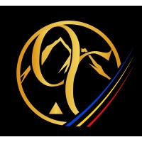okabi consulting detectius logo - Similar company to Purpledye