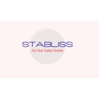 Stabliss logo - Similar company to Microsmart.Gr