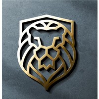 VSX Consulting logo - Similar company to Br Probe