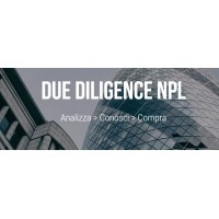 Due Diligence NPL logo - Similar company to 3Ai Data Wealth Management