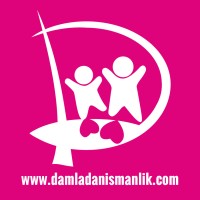 Damla Danışmanlık logo - Similar company to Digiscores