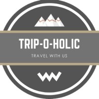 TRIPOHOLIC logo - Similar company to Tripholics