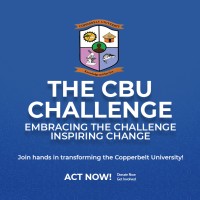 The CBU Challenge logo - Similar company to Guiding Starszm