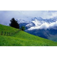 Khagrachari Travel Agency BD logo - Similar company to Travel Ventours