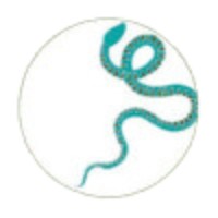 aspicbasilic logo - Similar company to Envie D'Art / K+Y Gallery