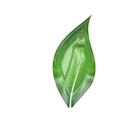 LIVEIN logo - Similar company to Visualarise Inc.