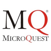 MicroQuest Systemhaus GmbH logo - Similar company to Langhauser Gmbh