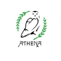 Athena Coding logo - Similar company to Seattle Chess School