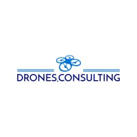Drones.Consulting logo - Similar company to Embedded Ai Systems