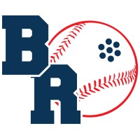 Association of Blind Citizens Boston Renegades logo - Similar company to Northeastern Association Of The Blind At Albany (Naba)